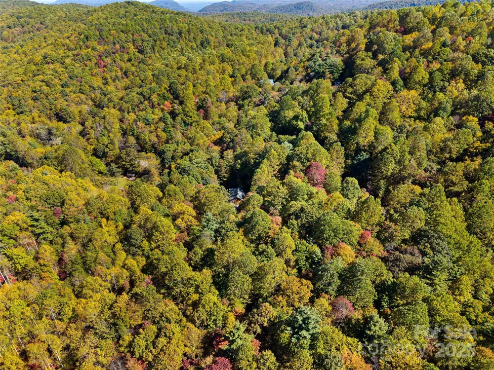 1308 Bell Mountain Road Zirconia, NC 28790