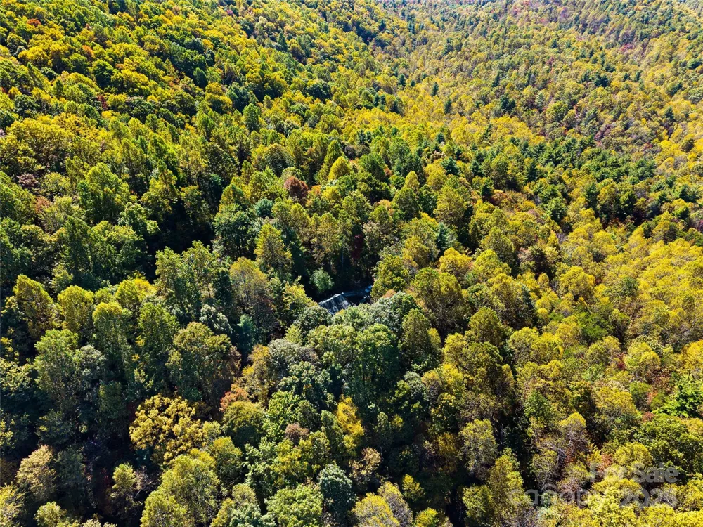 1308 Bell Mountain Road Zirconia, NC 28790
