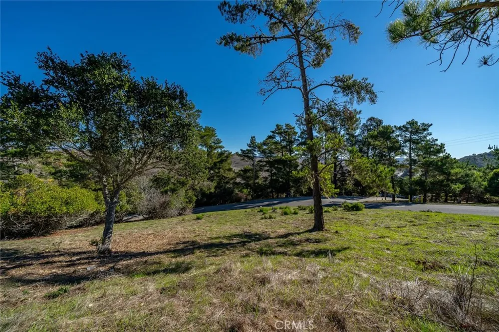 Pickwick Lane Cambria, CA 93428