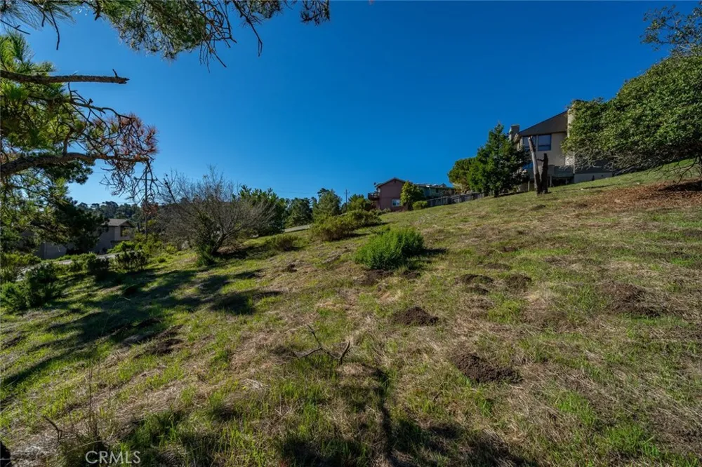 Pickwick Lane Cambria, CA 93428