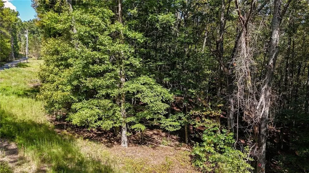 925 Arrow Trail Waleska, GA 30183