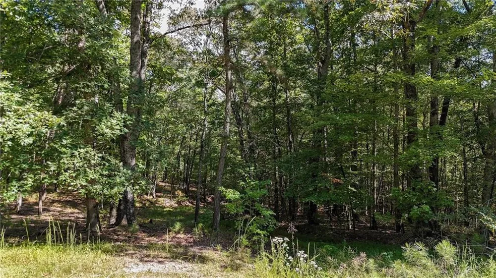 925 Arrow Trail Waleska, GA 30183