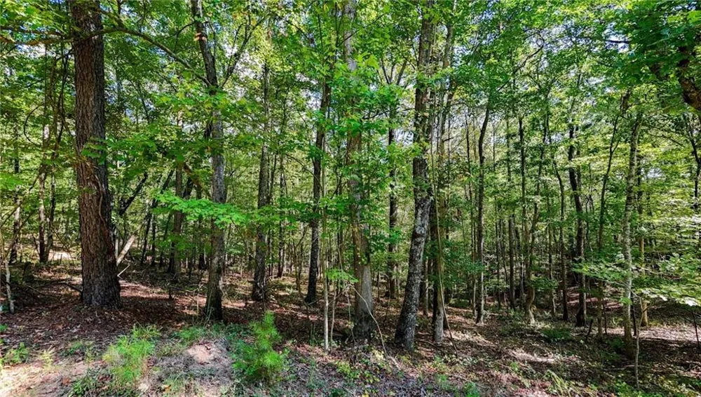 925 Arrow Trail Waleska, GA 30183