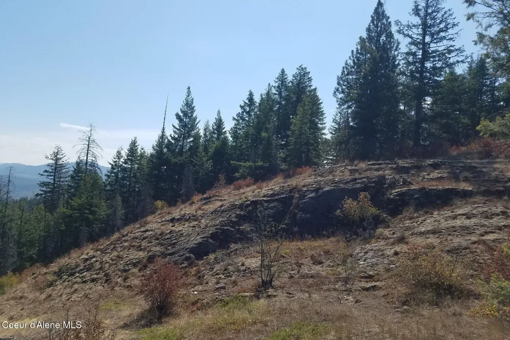 0 E Dunromin Road Priest River, ID 83856