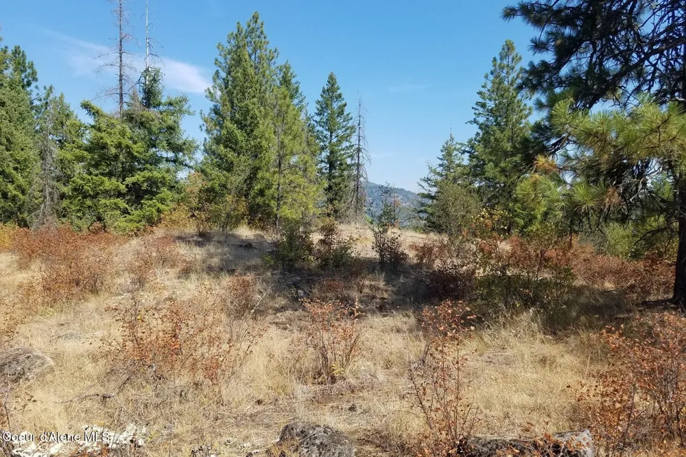 0 E Dunromin Road Priest River, ID 83856