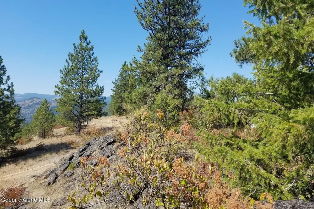 0 E Dunromin Road Priest River, ID 83856