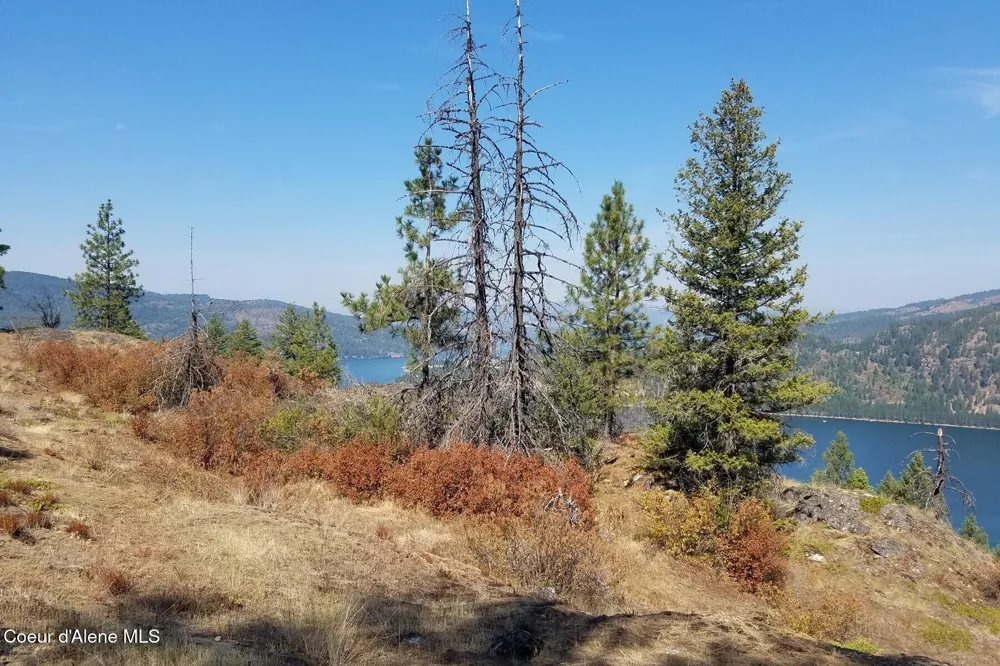 0 E Dunromin Road Priest River, ID 83856