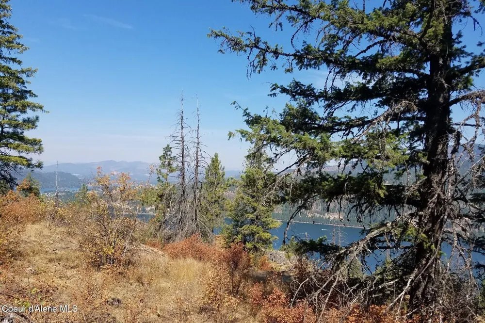 0 E Dunromin Road Priest River, ID 83856
