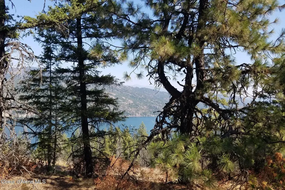 0 E Dunromin Road Priest River, ID 83856