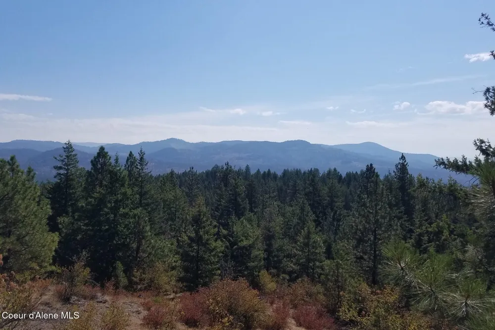 0 E Dunromin Road Priest River, ID 83856