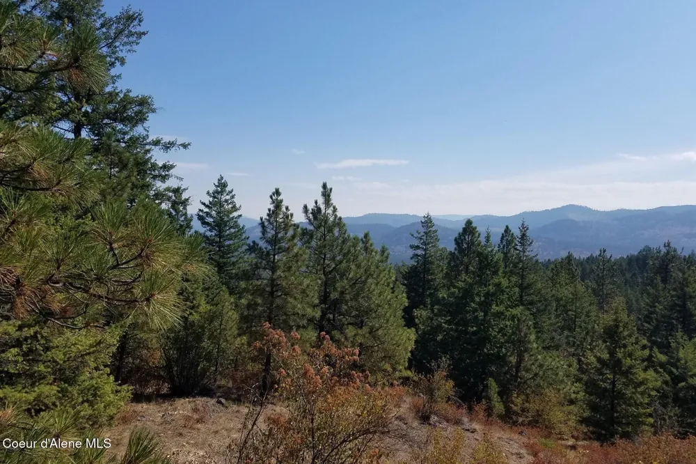 0 E Dunromin Road Priest River, ID 83856