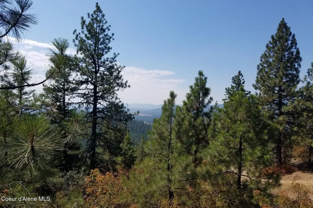 0 E Dunromin Road Priest River, ID 83856