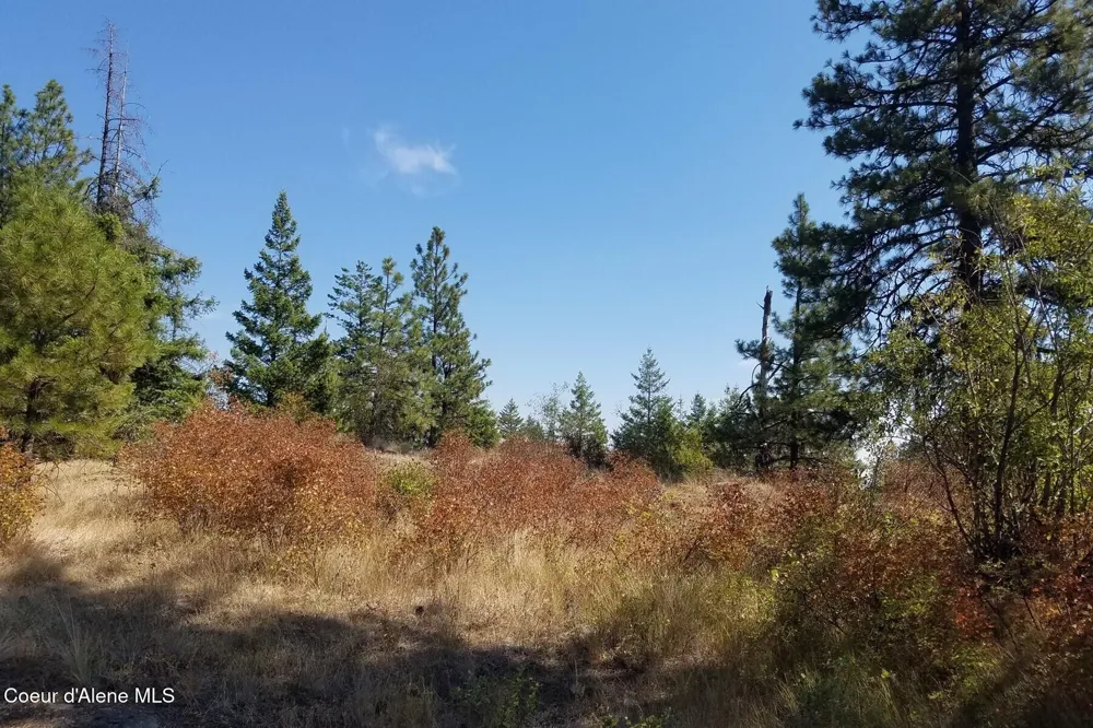 0 E Dunromin Road Priest River, ID 83856