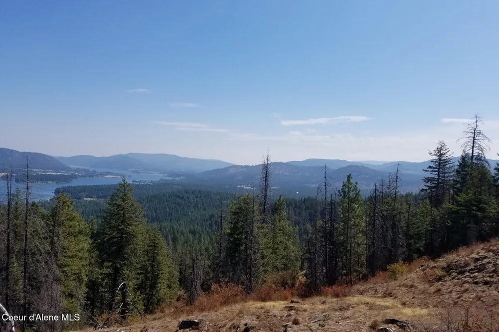 0 E Dunromin Road Priest River, ID 83856