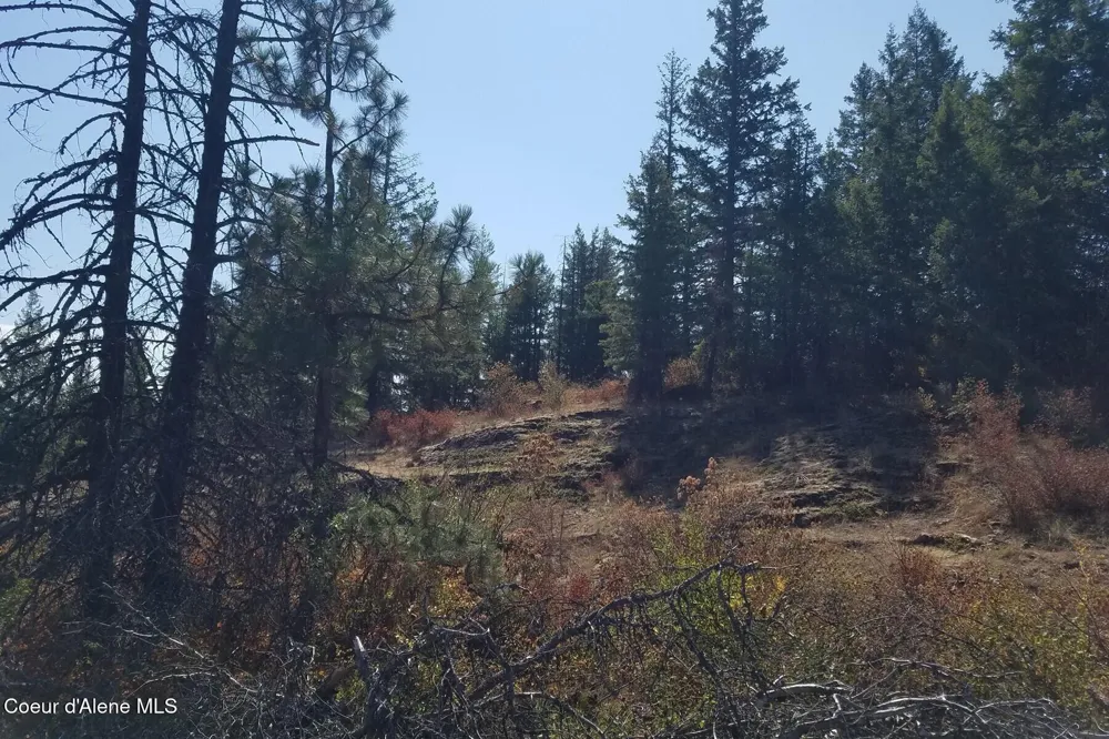 0 E Dunromin Road Priest River, ID 83856