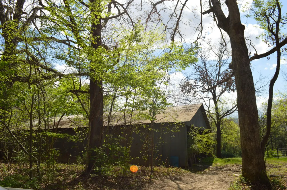 158 Needle Eye Lane Delano, TN 37325