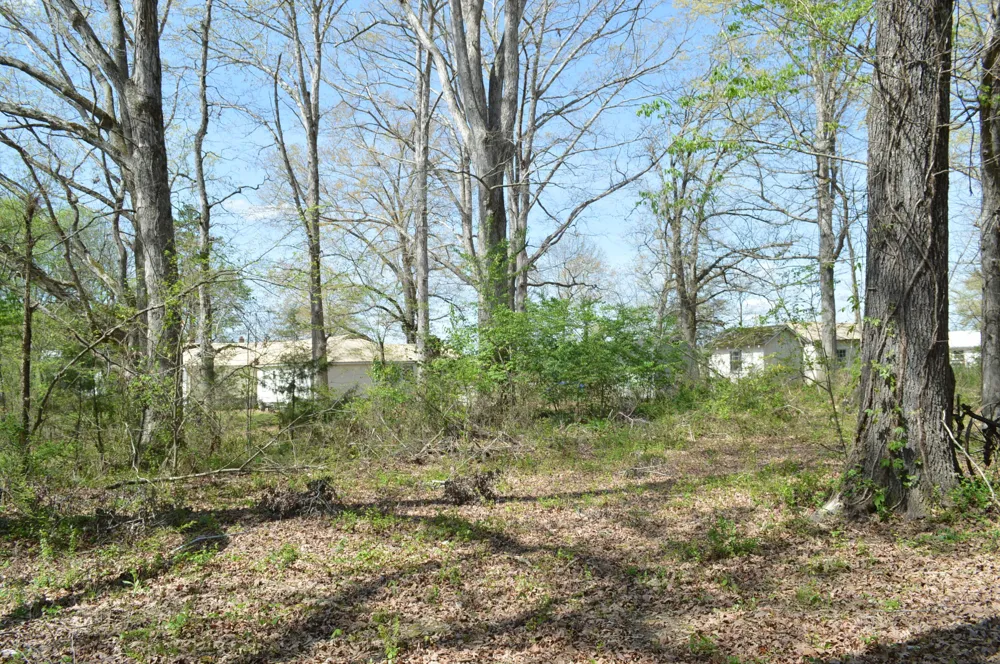 158 Needle Eye Lane Delano, TN 37325