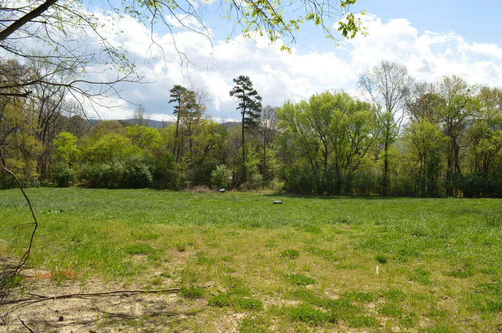 158 Needle Eye Lane Delano, TN 37325