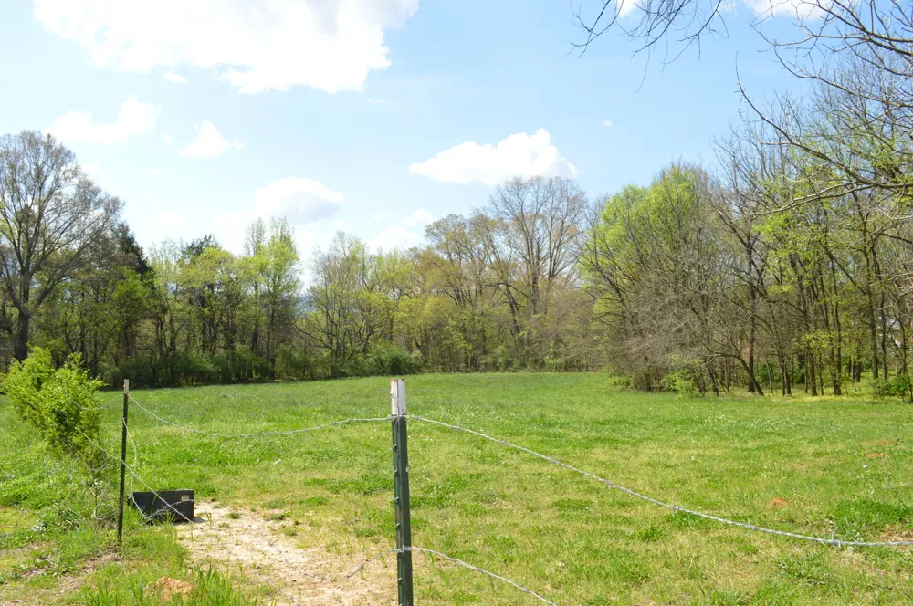 158 Needle Eye Lane Delano, TN 37325