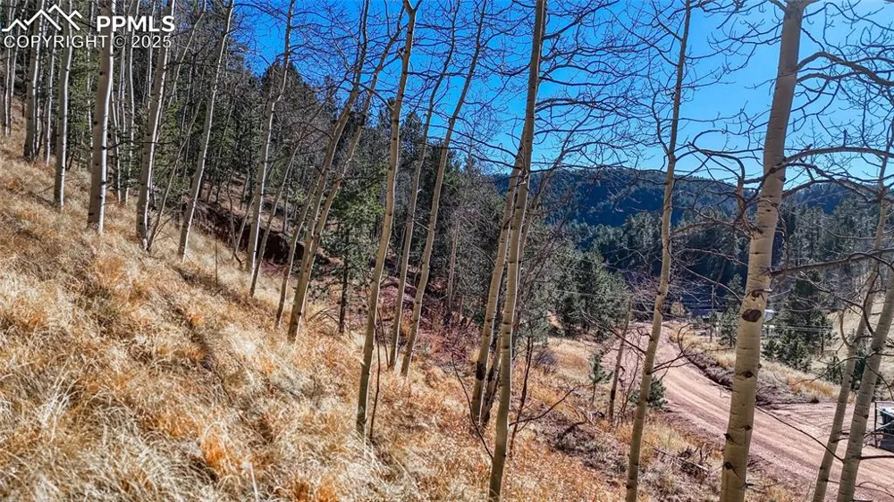 80 Beaver Pond Road Divide, CO 80814
