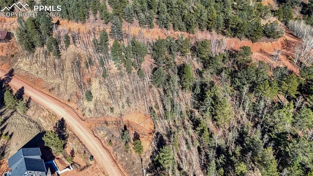 80 Beaver Pond Road Divide, CO 80814