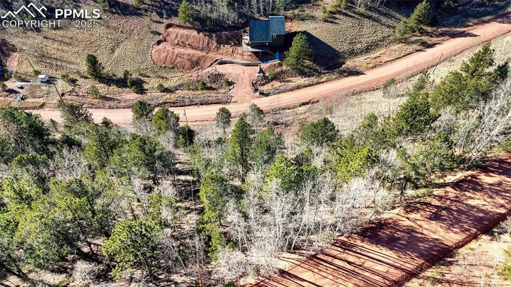 80 Beaver Pond Road Divide, CO 80814