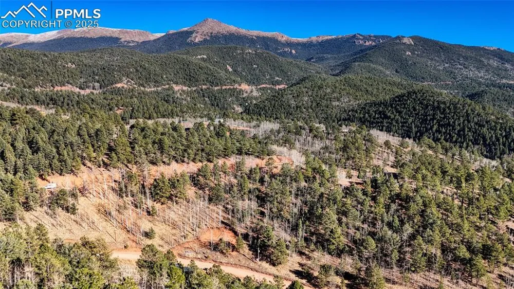 80 Beaver Pond Road Divide, CO 80814