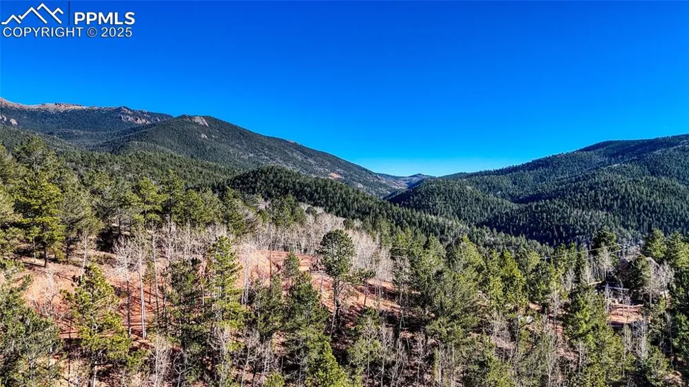 80 Beaver Pond Road Divide, CO 80814