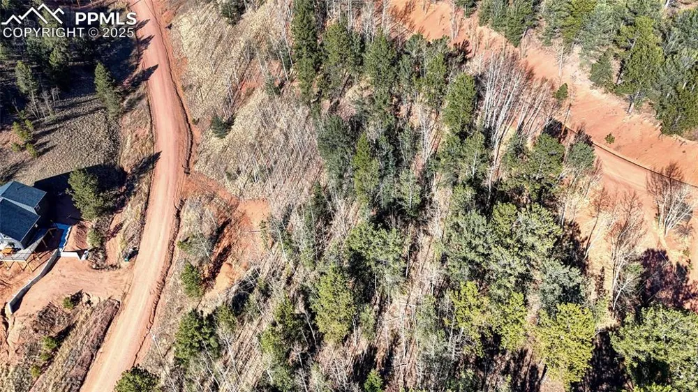 80 Beaver Pond Road Divide, CO 80814
