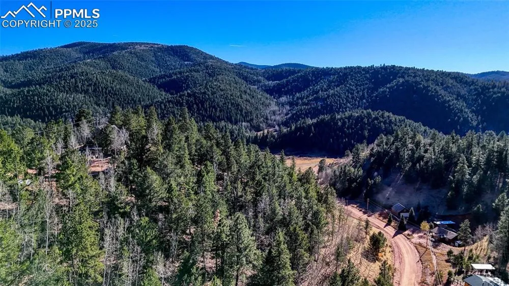 80 Beaver Pond Road Divide, CO 80814