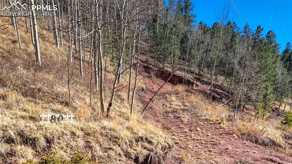 80 Beaver Pond Road Divide, CO 80814