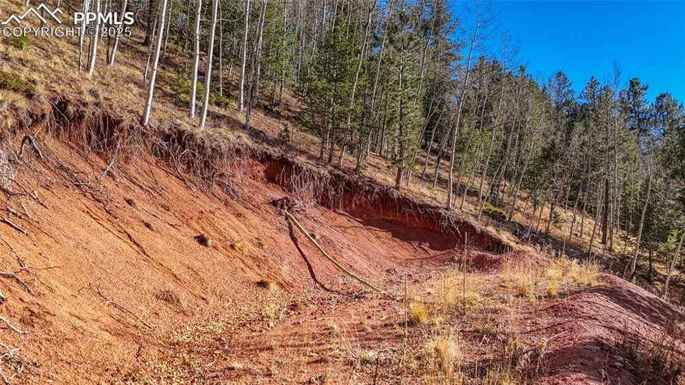 80 Beaver Pond Road Divide, CO 80814