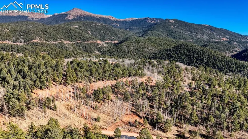 80 Beaver Pond Road Divide, CO 80814