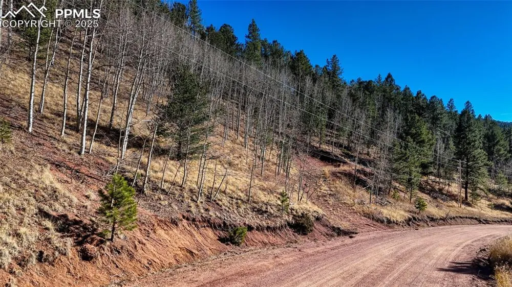 80 Beaver Pond Road Divide, CO 80814