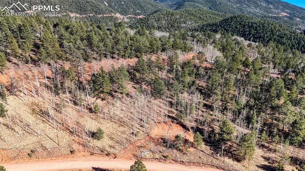 80 Beaver Pond Road Divide, CO 80814