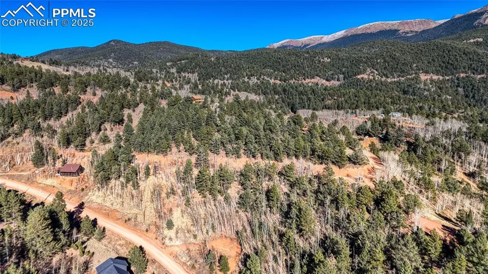 80 Beaver Pond Road Divide, CO 80814