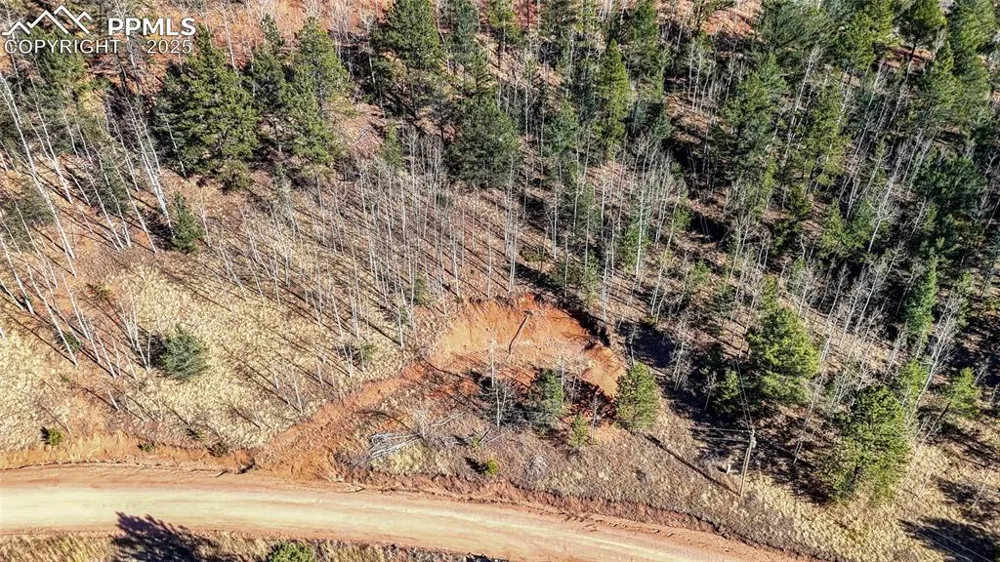 80 Beaver Pond Road Divide, CO 80814