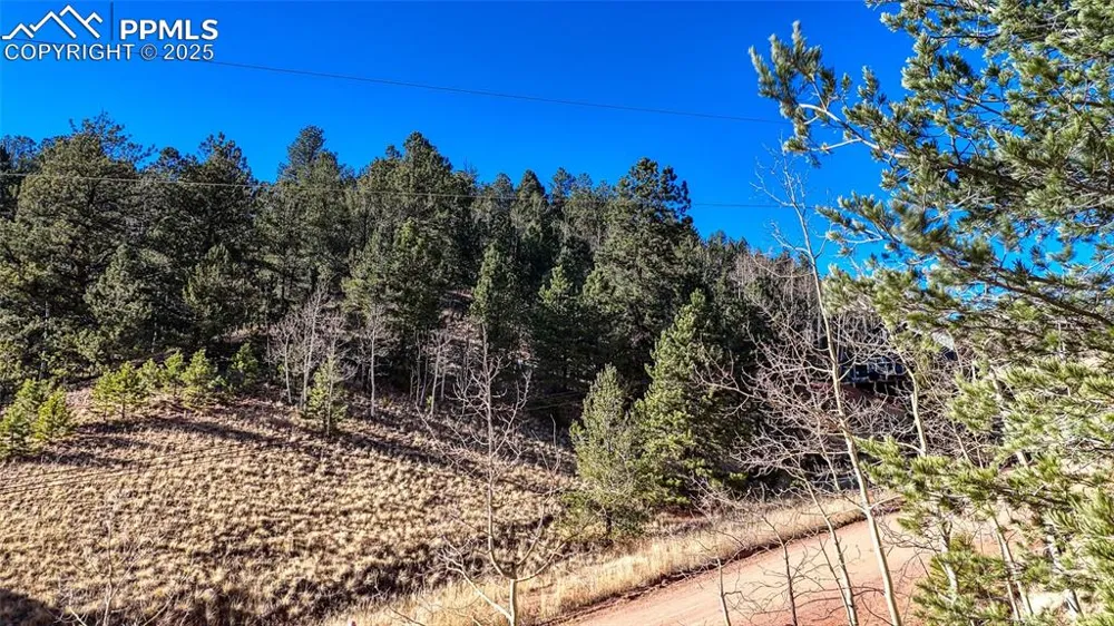 80 Beaver Pond Road Divide, CO 80814