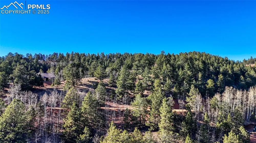 80 Beaver Pond Road Divide, CO 80814