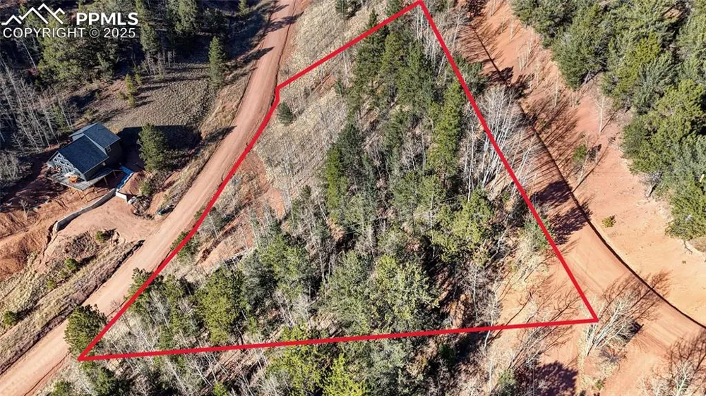80 Beaver Pond Road Divide, CO 80814