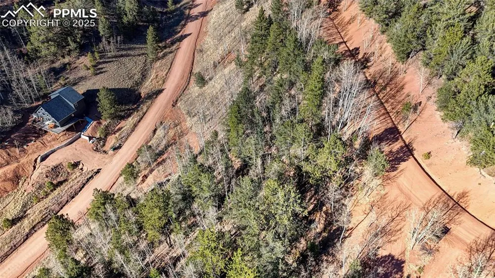 80 Beaver Pond Road Divide, CO 80814
