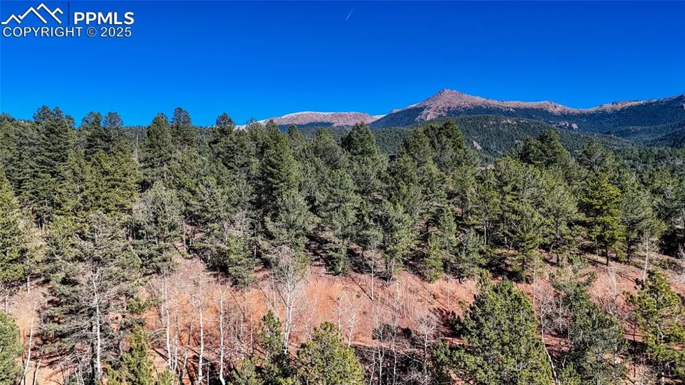 80 Beaver Pond Road Divide, CO 80814
