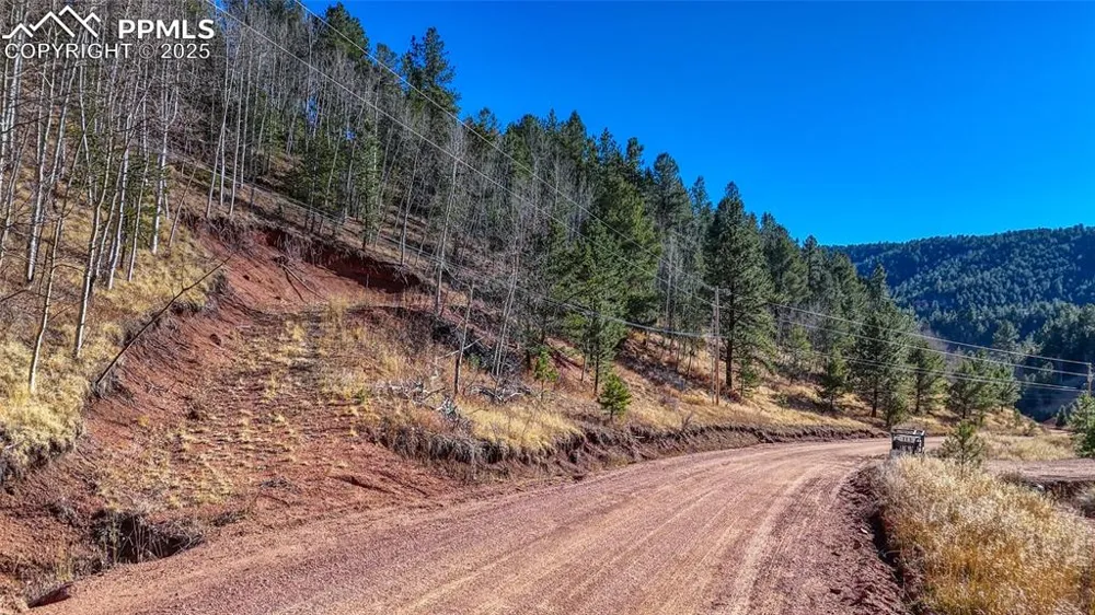 80 Beaver Pond Road Divide, CO 80814