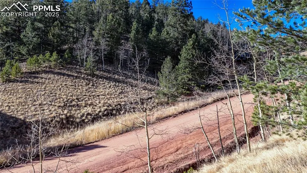 80 Beaver Pond Road Divide, CO 80814