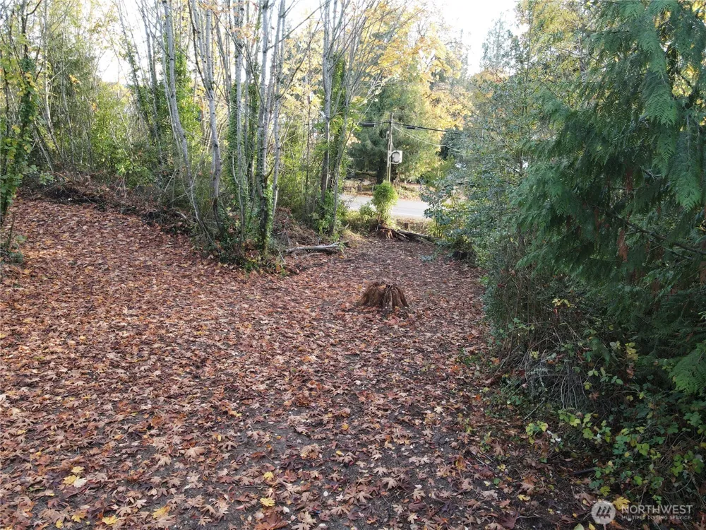 1981 Chico Way NW Bremerton, WA 98310