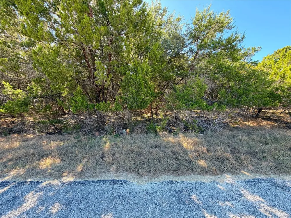 426 Clay Ridge Canyon Lake, TX 78133