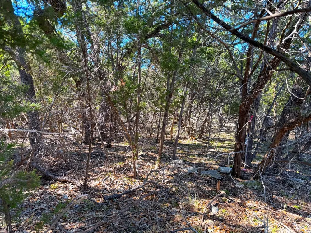 426 Clay Ridge Canyon Lake, TX 78133