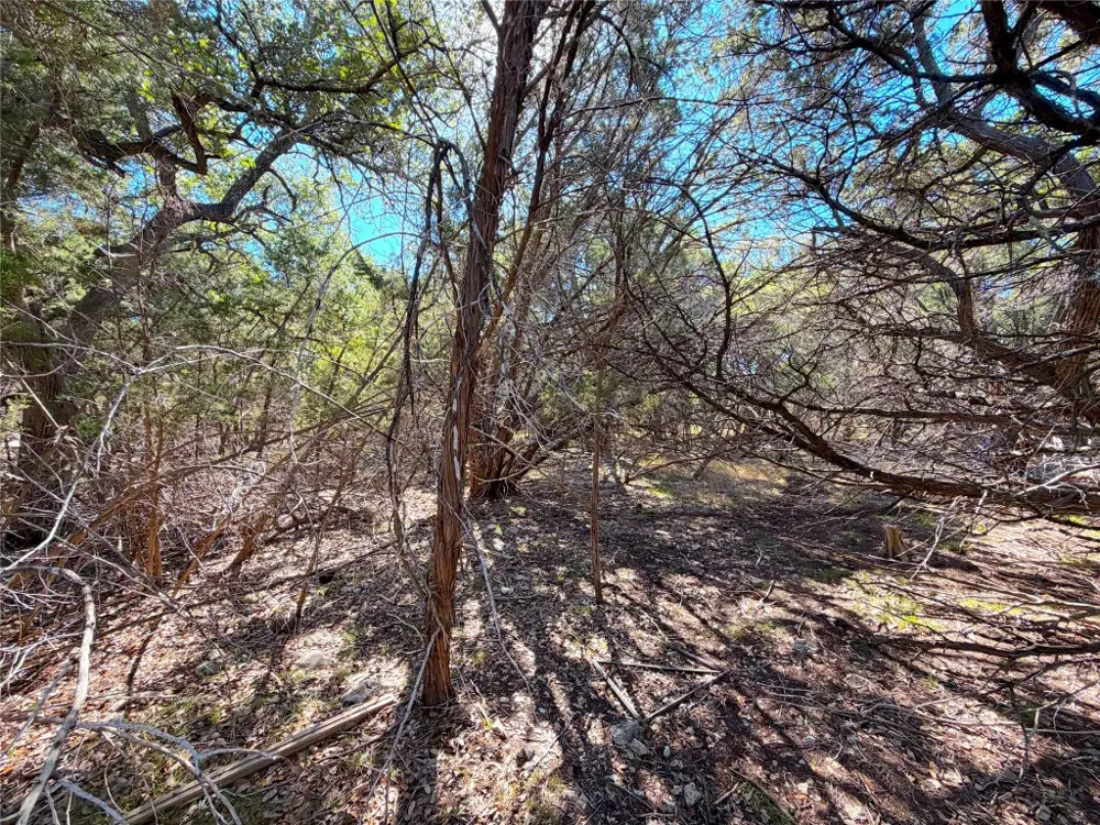 426 Clay Ridge Canyon Lake, TX 78133