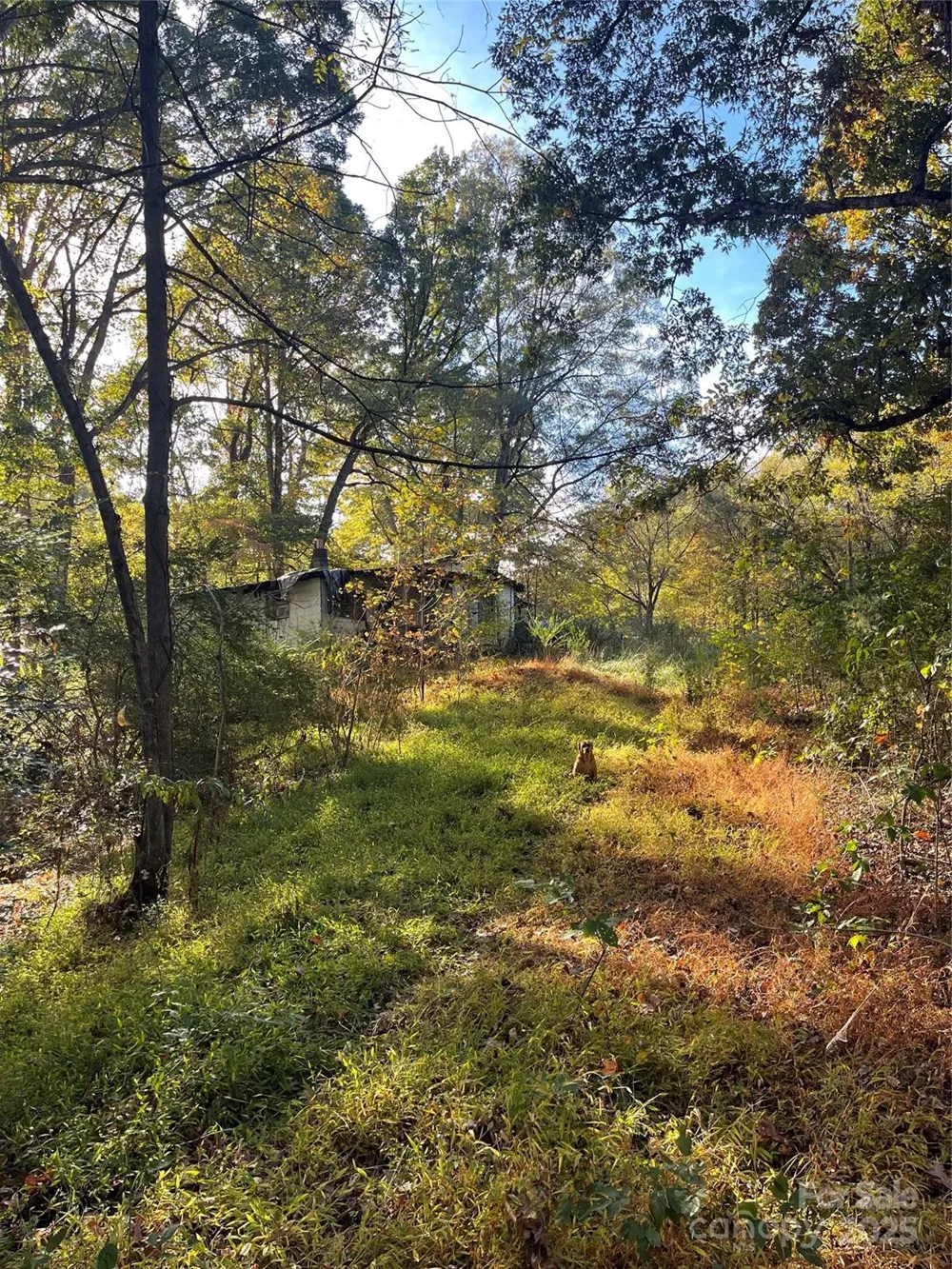 137 Stacy Road Mooresville, NC 28115