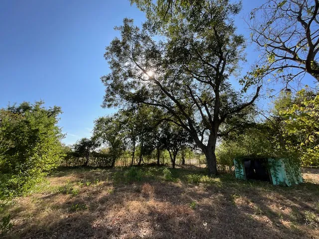 1005 W 8th Street Cameron, TX 76520